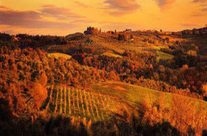 Vigneti in Toscana