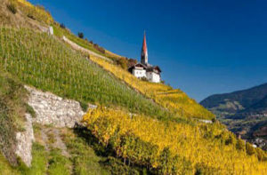 Vigneti nell'Alto Adige